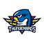 Springfield Thunderbirds